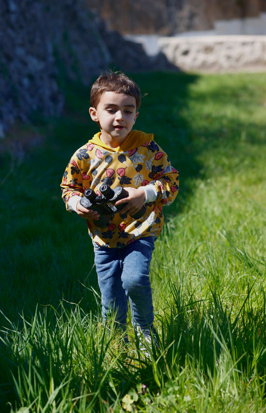 Sudadera Capucha Higos