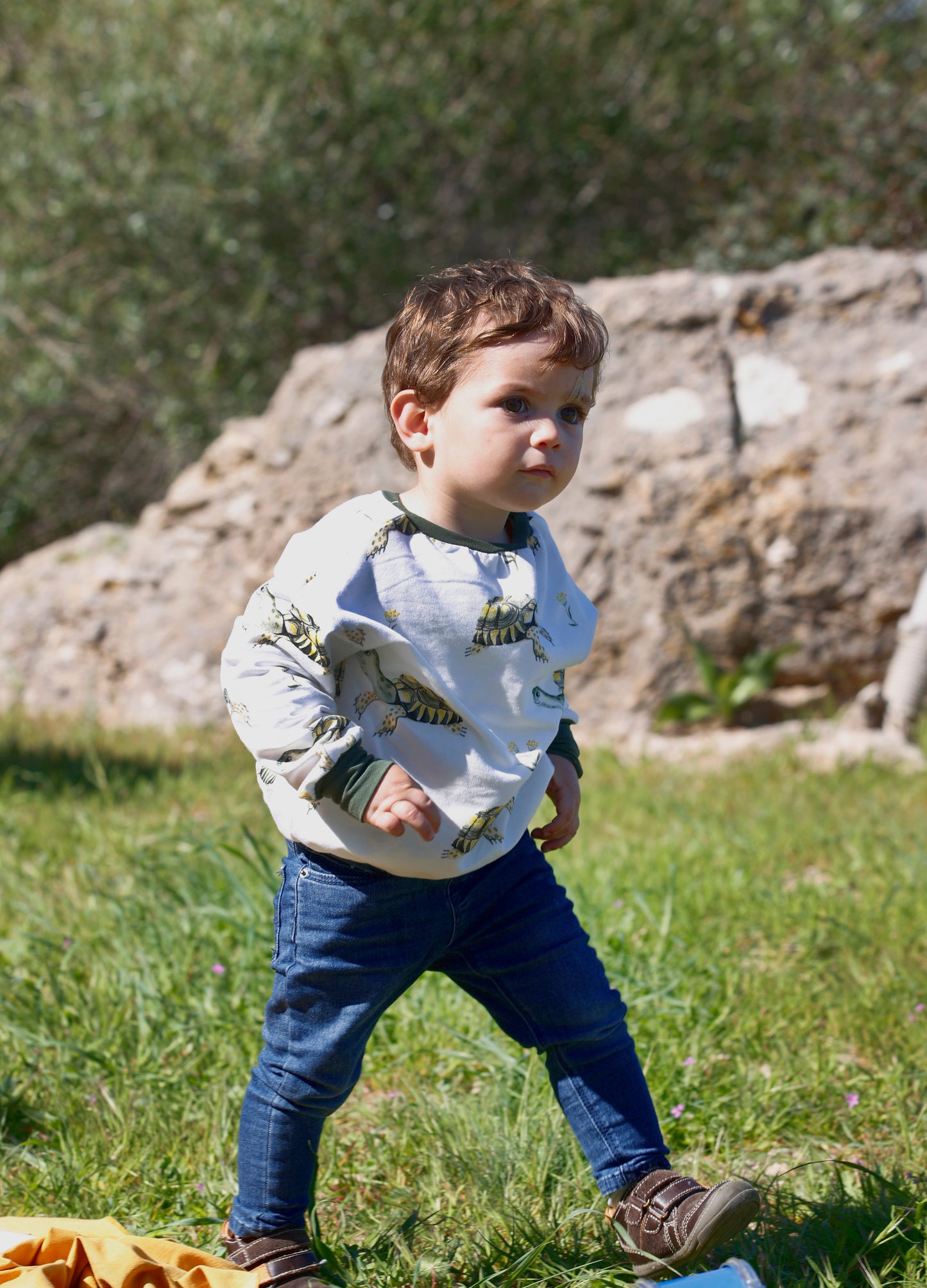 Sudadera Infantil Tortugas
