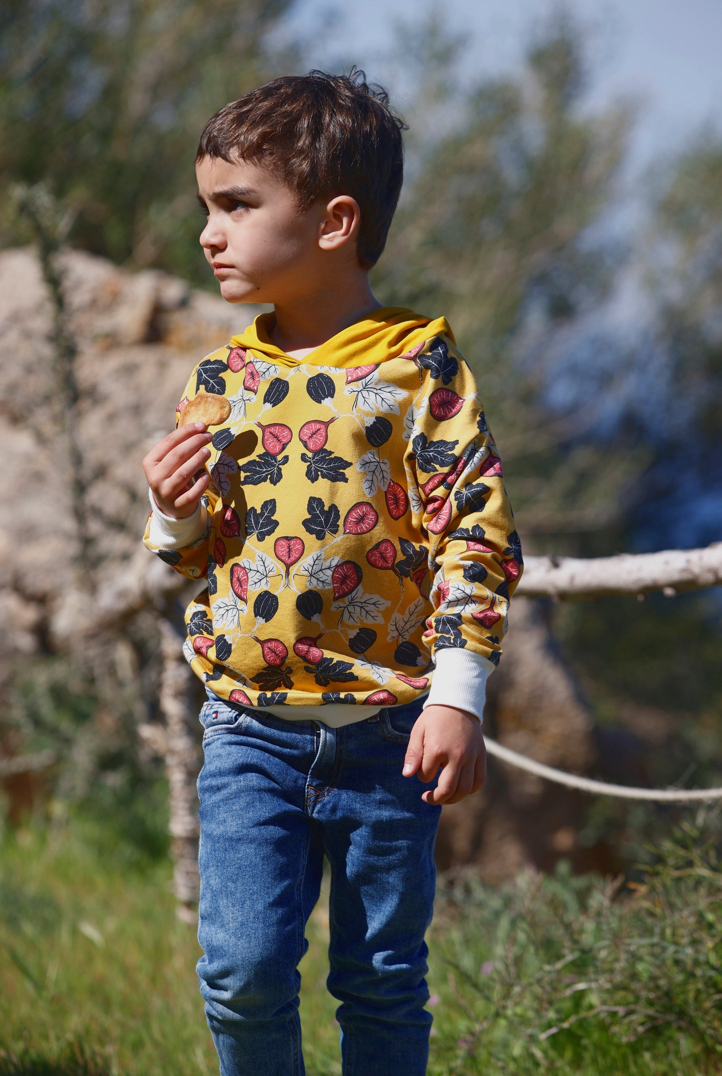Sudadera Capucha Higos