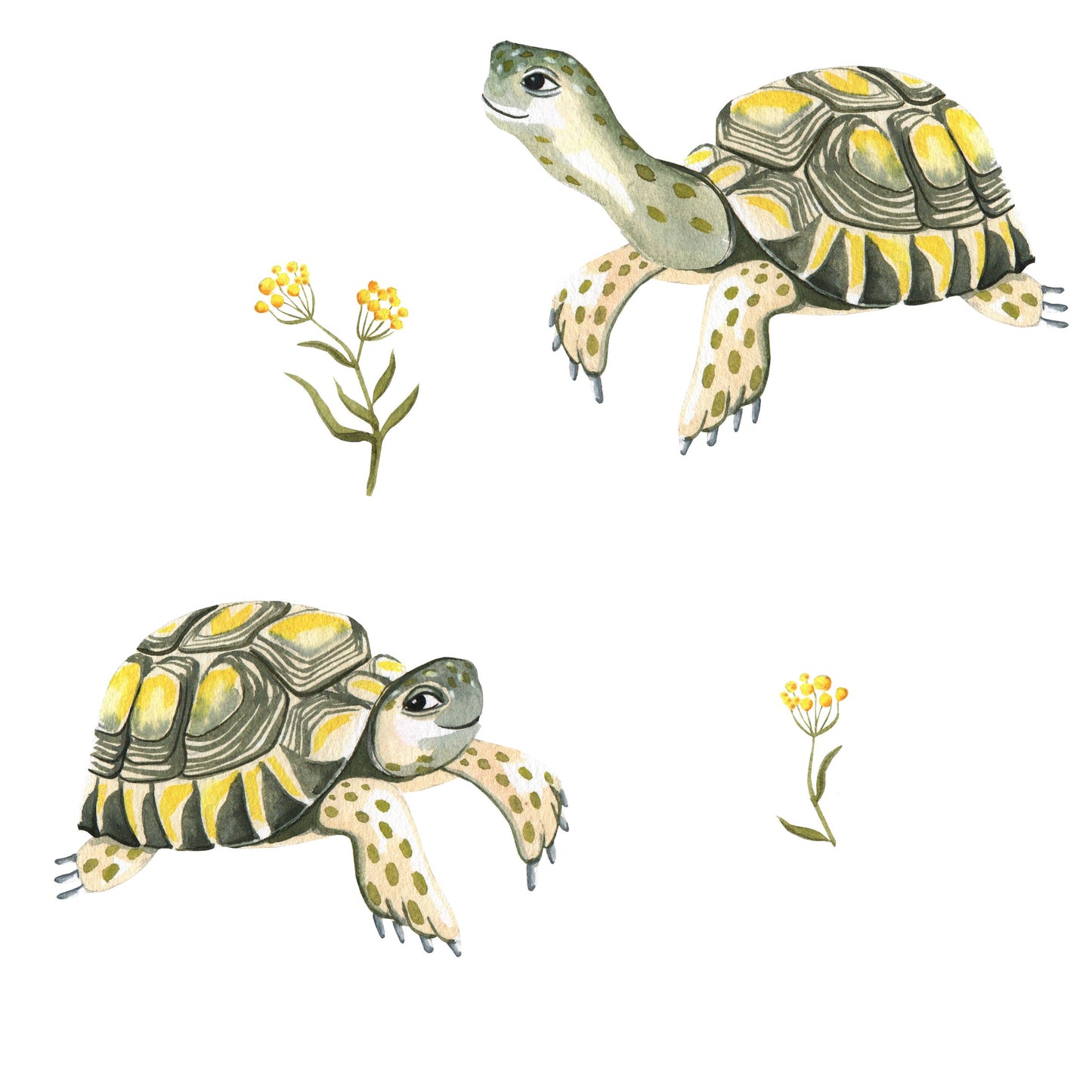 Mono Infantil Tortugas