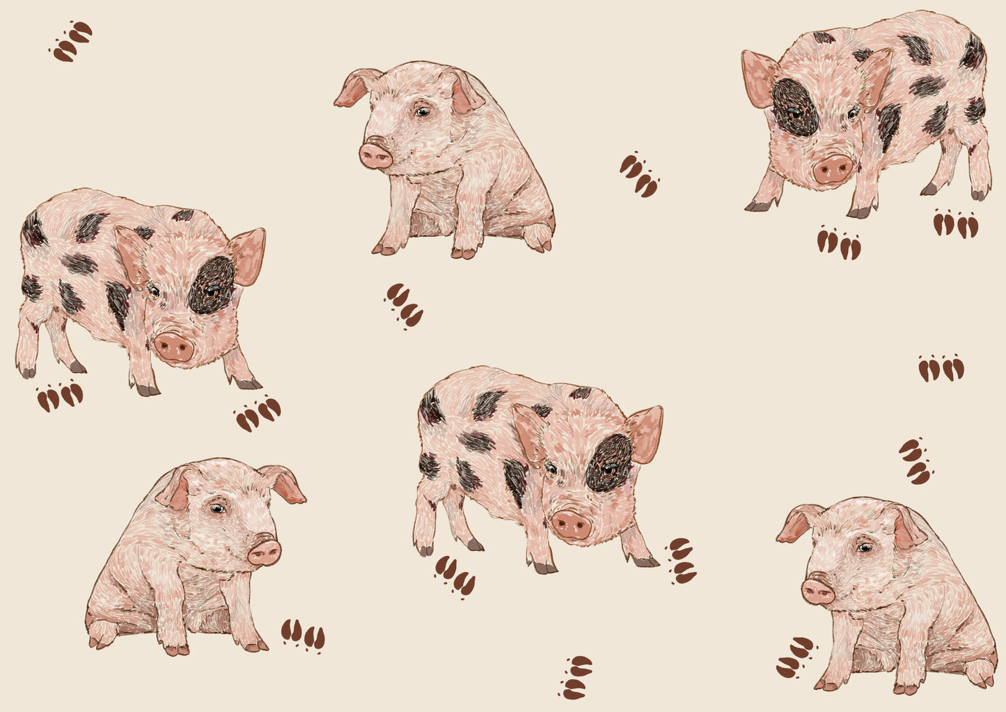 Primera Puesta Bebé Cerditos Iggy y Pork