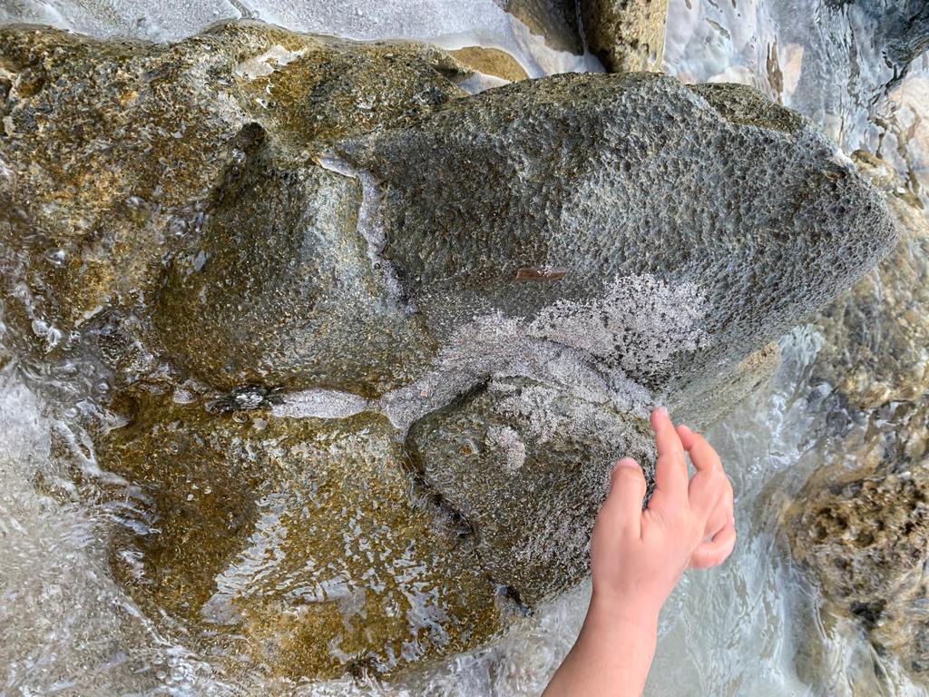 LA DIMENSIÓN EDUCATIVA DE LA NATACIÓN. POR FONSO PIÑEIRO