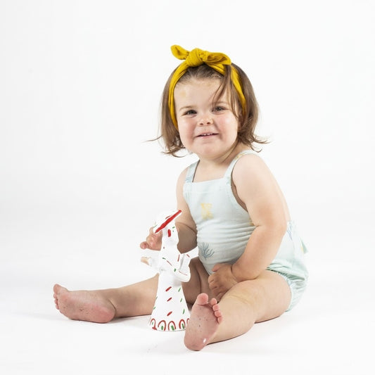 PELELE EVOLUTIVO ALGAS