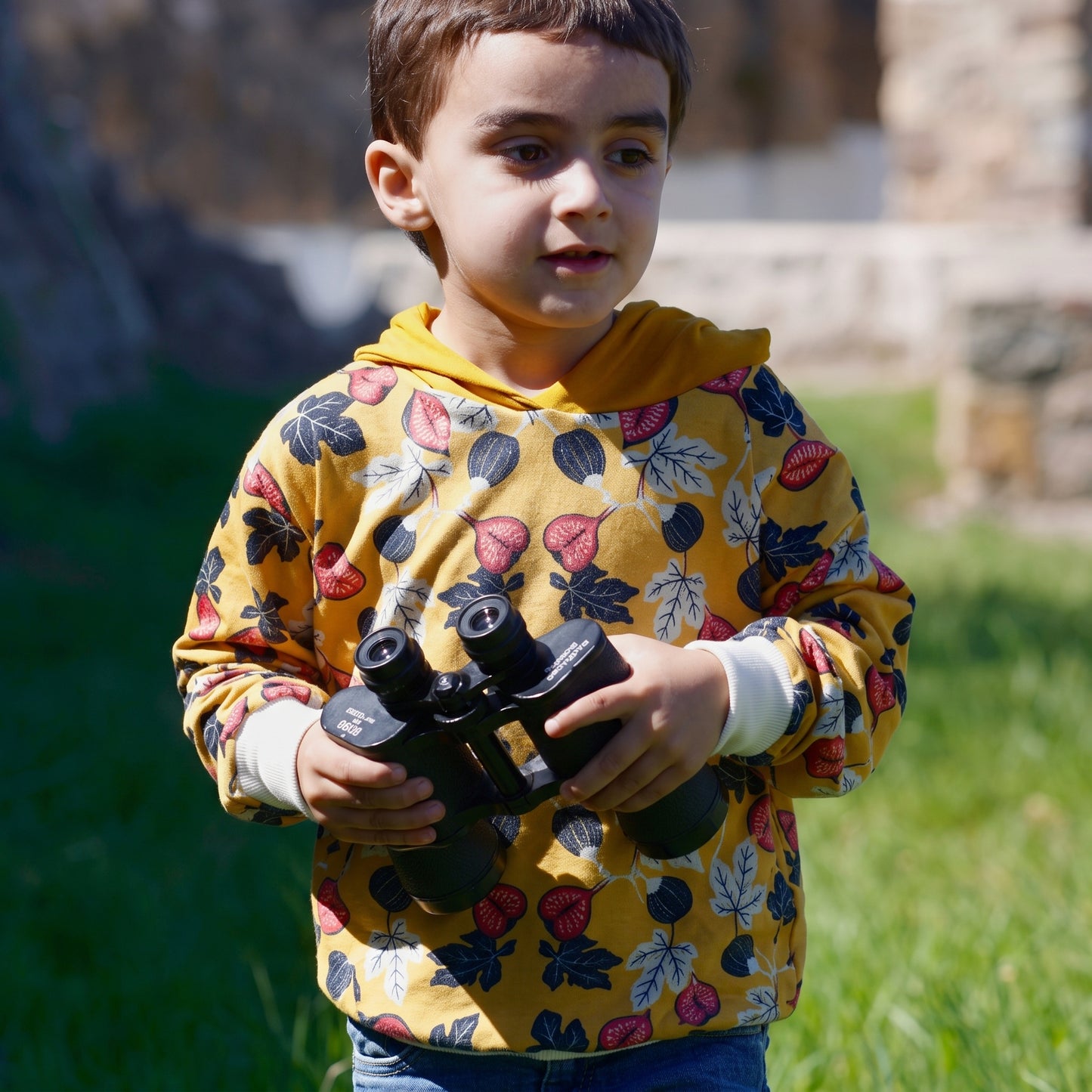 Sudadera Capucha Higos