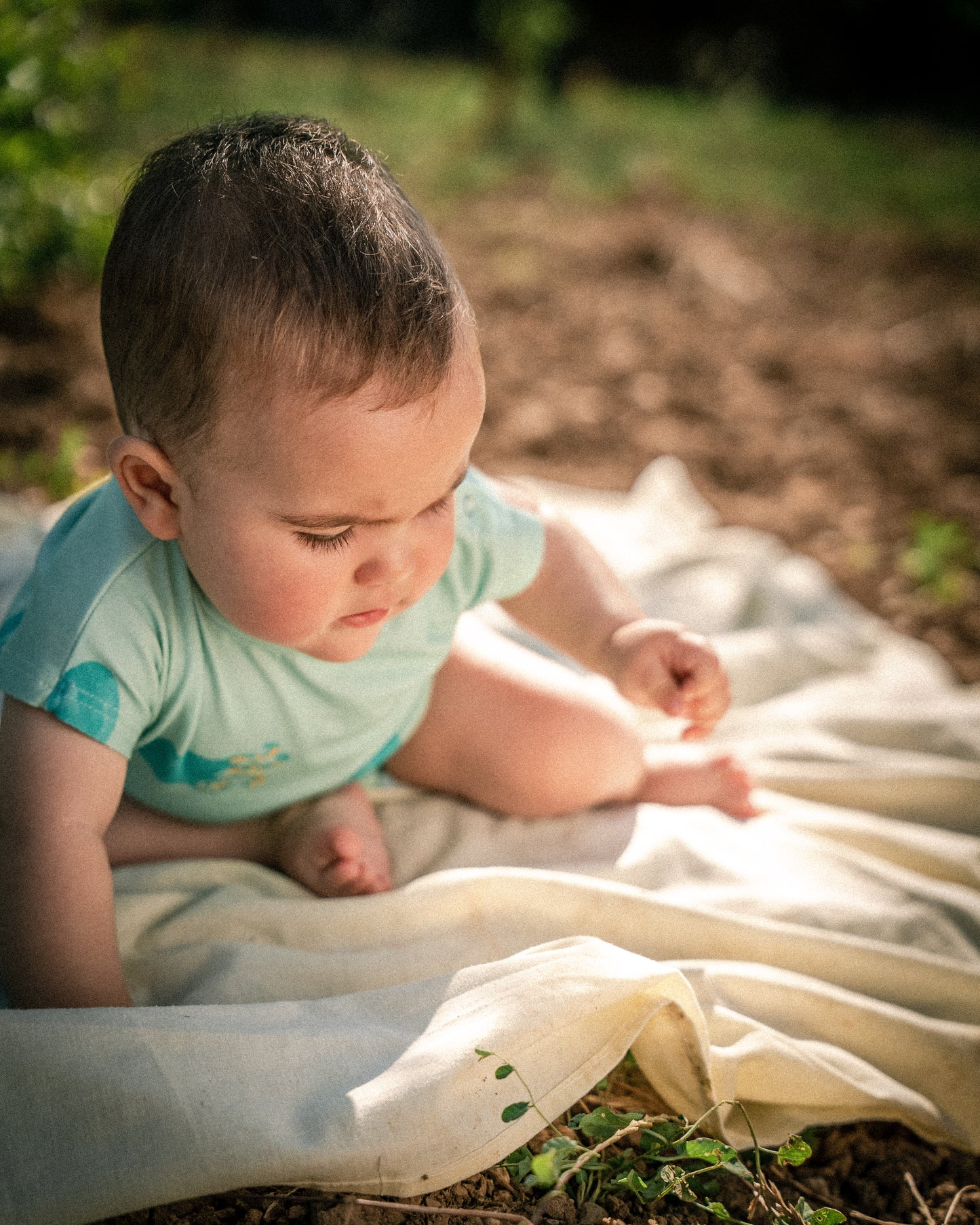 CAMISETA BABY PULPOS