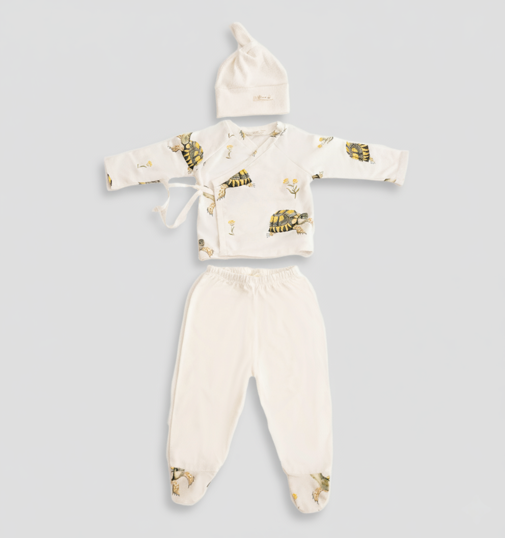 Primera Puesta Bebé Tortugas