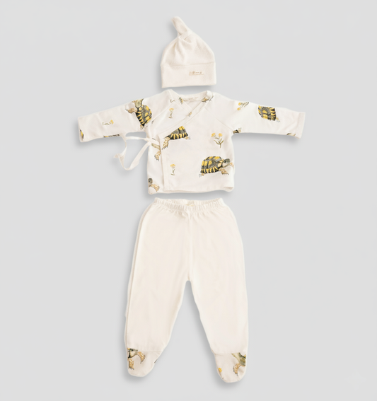 Primera Puesta Bebé Tortugas