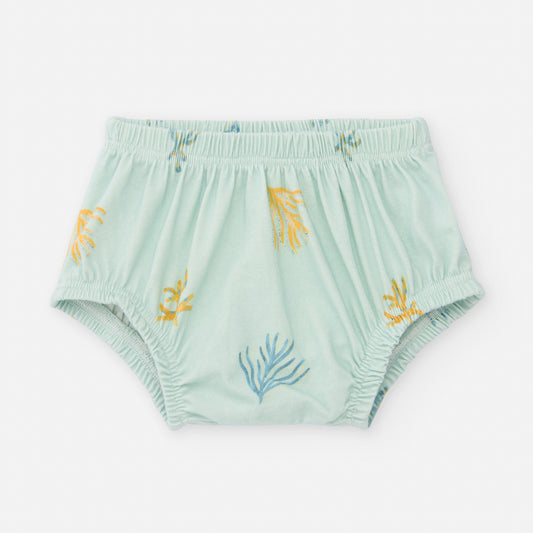 CULOTTE BABY ALGAS