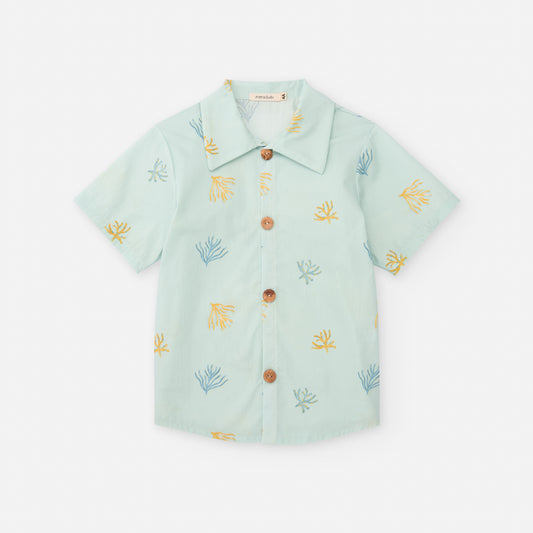 CAMISA ALGAS