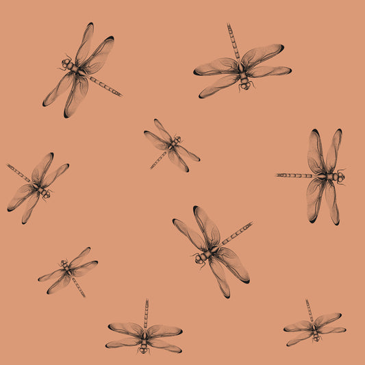 Chupetero Libélulas Tierra