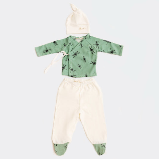 Primera Puesta Bebé Libelulas Verde