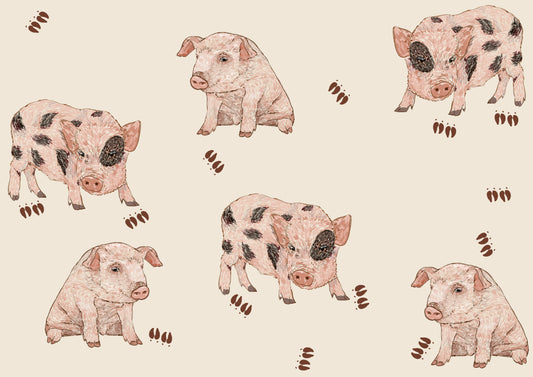 Sudadera Cerditos Iggy y Pork